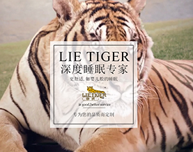 哈尔滨市卧虎家具有限公司