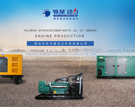 扬州市东华星动力科技有限公司