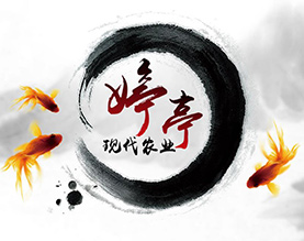 南通婷亭现代农业有限公司