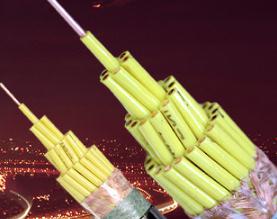 山东阳谷昊辉电缆有限公司