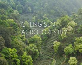 婺源县程森农林开发有限公司