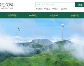 都匀毛尖网