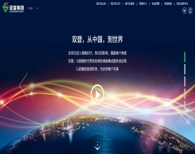 双登集团股份有限公司