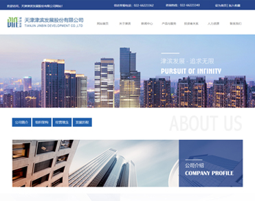 天津津滨发展股份有限公司