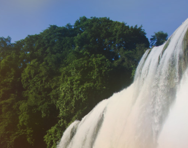 贵州黄果树酒业有限责任公司