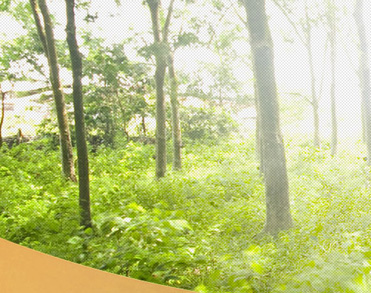 淄博海洋实业有限公司