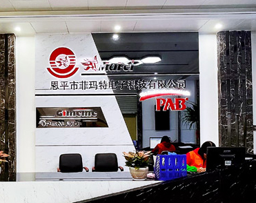 恩平市菲玛特电子科技有限公司