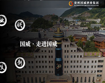 贵州茅台镇国威酒业（集团）有限责任公司