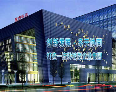 陕西科技控股集团有限责任公司