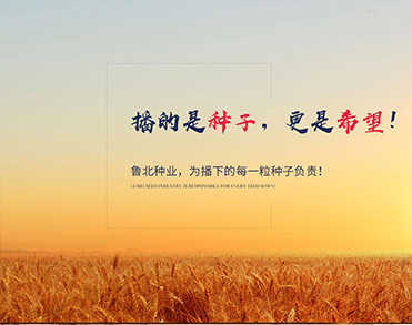 山东鲁北种业有限公司