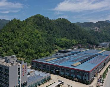 浙江炬光电子科技有限公司