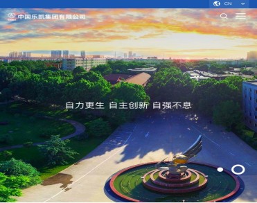 中国乐凯集团有限公司