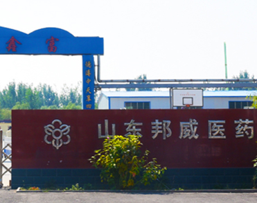 山东邦威医药有限责任公司