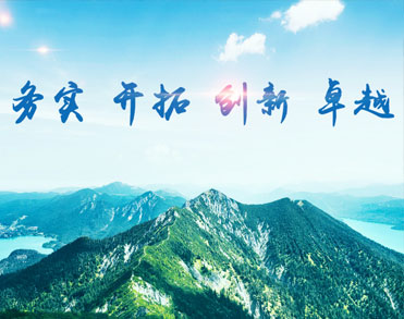 淄博齐茂催化剂有限公司