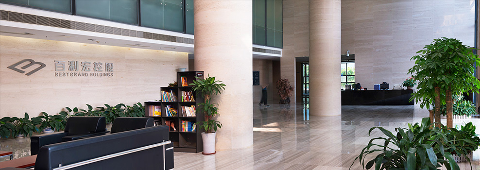 惠州市百利宏控股有限公司