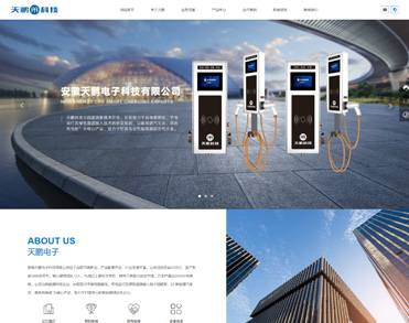 安徽天鹏电子科技有限公司