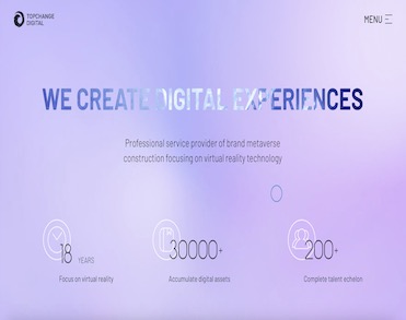 深圳市天擎数字有限责任公司