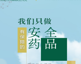 辽宁康泰药业有限公司 