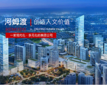 广西河姆渡投资集团有限公司