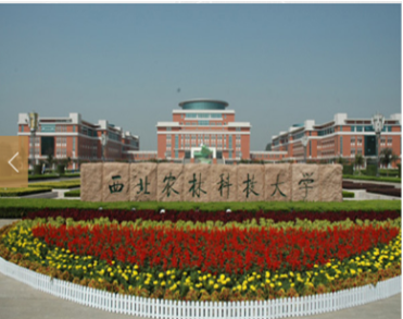 陕西天地智融建设集团有限公司