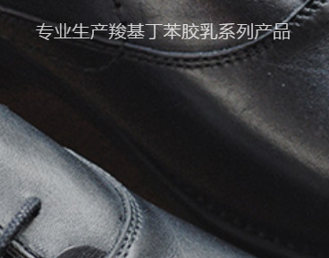  新辉（中国）新材料有限公司