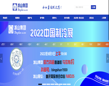 大连冰山集团有限公司