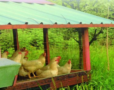 柳江食品有限公司