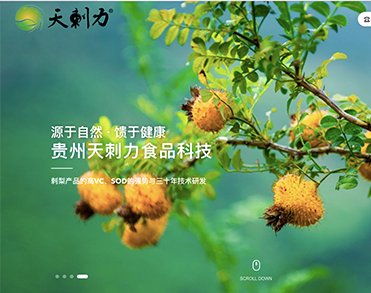 贵州天刺力食品科技有限责任公司